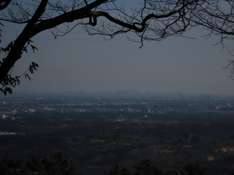 日和田山、物見山